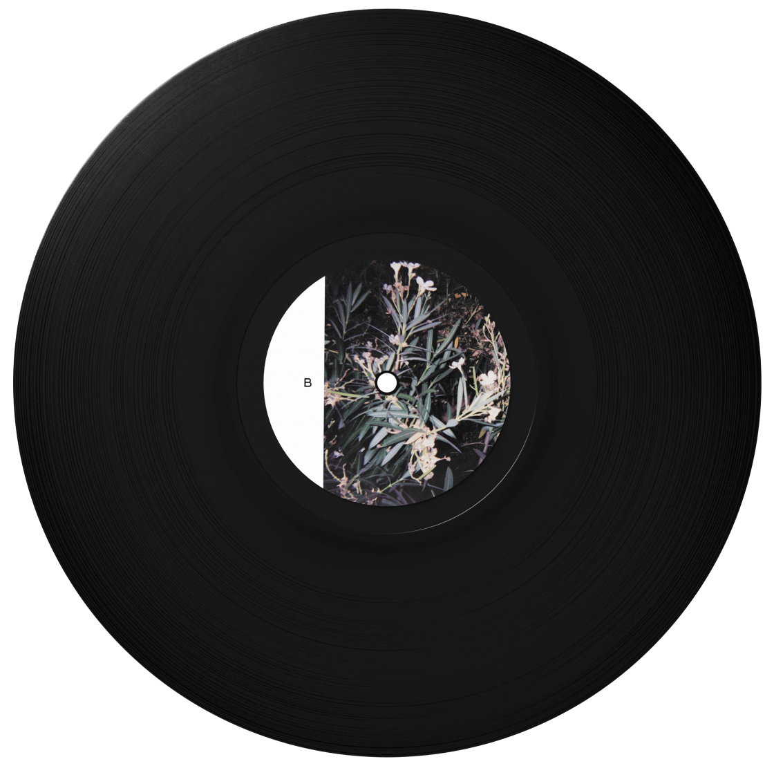 mika vainio onko rarlab mika vainio onko rarlab